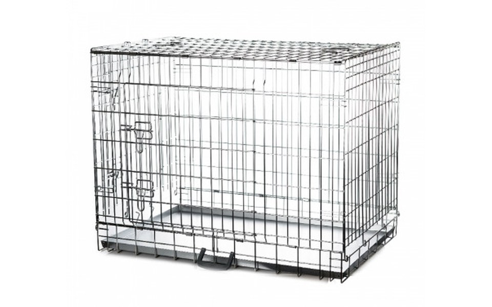 Zbiórka Na zakup klatek i transporterów - zdjęcie główne