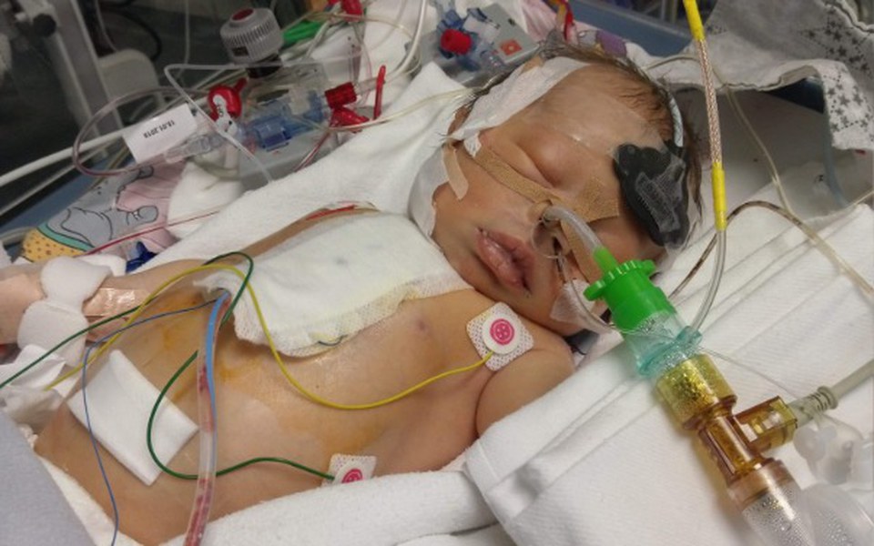 
        Zbiórka Serduszko kacperka - zdjęcie główne
    