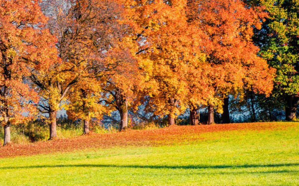 
        Zbiórka Remont domu mamy i chorego brata - zdjęcie główne
    