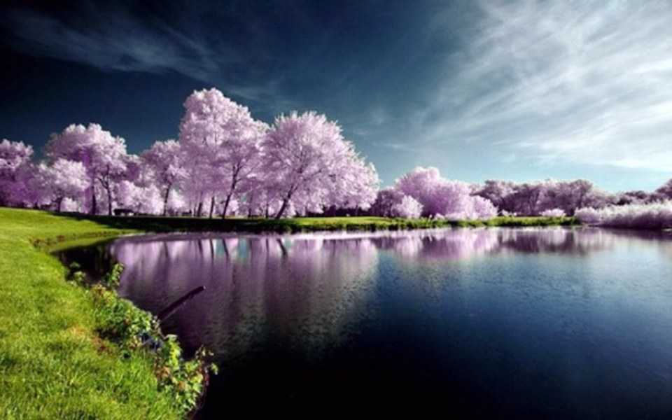 
        Zbiórka Na wymarzony obóz moich dzieci! - zdjęcie główne
    