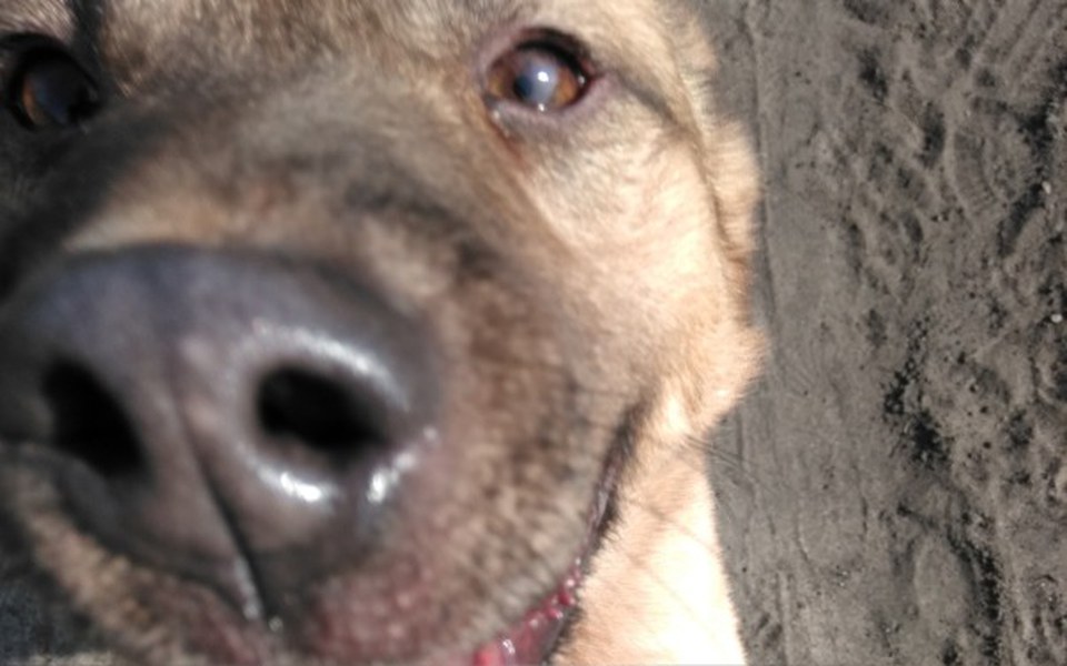 
        Zbiórka Bezdomniaki🐕 - zdjęcie główne
    