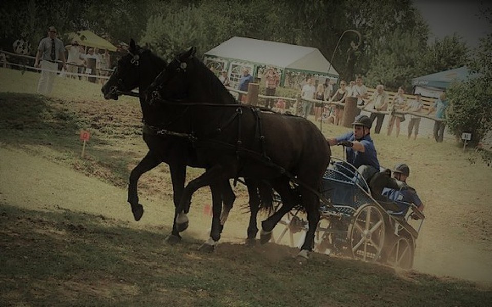 
        Zbiórka Bryczką po marzenia - zdjęcie główne
    