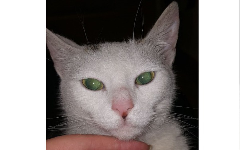 
        Zbiórka BLANKA prosi Państwa o wsparcie - zdjęcie główne
    