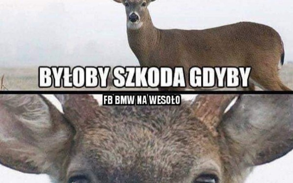 
        Zbiórka Zbieram pieniądze na wakacje - zdjęcie główne
    