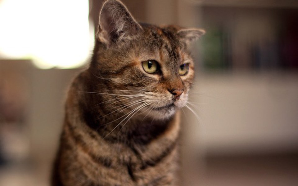 
        Zbiórka Koci dom spokojnej starosci - zdjęcie główne
    