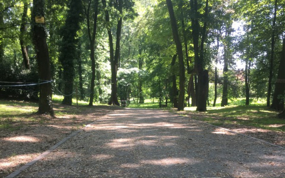 
        Zbiórka Na pomoc bezdomnej - zdjęcie główne
    