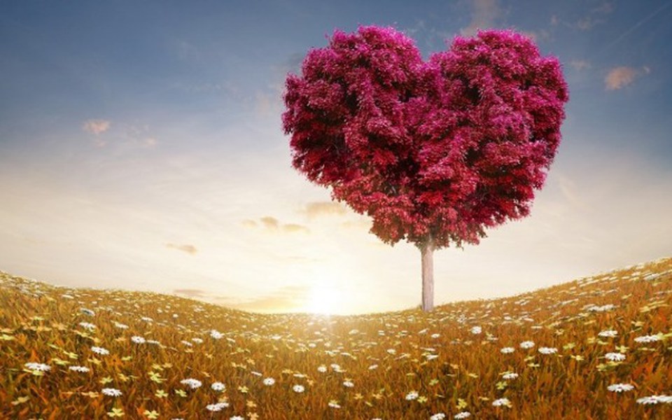 
        Zbiórka Dla Naszej Chorej Koleżanki - zdjęcie główne
    