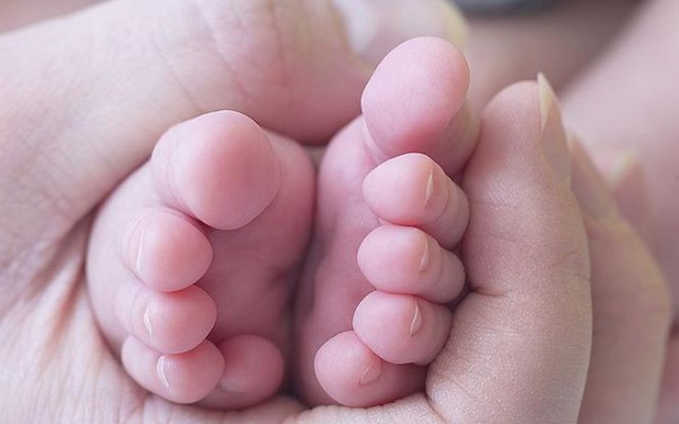 
        Zbiórka Pomóżcie samotnej mamie - zdjęcie główne
    