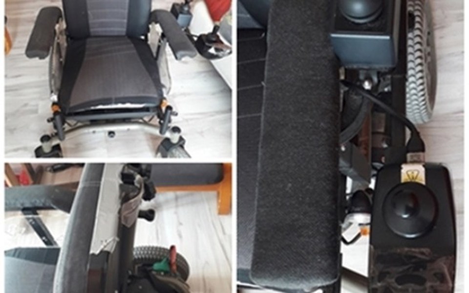 Zbiórka Nowy Forest - lepsze życie - zdjęcie główne