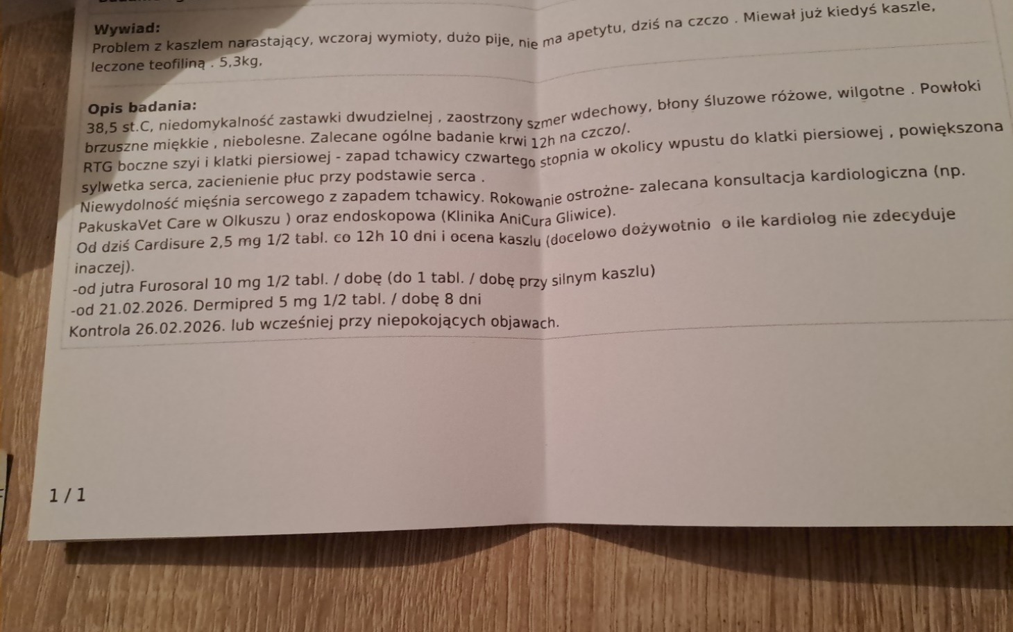 
        Dokument medyczny z opisem badania i zaleceniami.
    