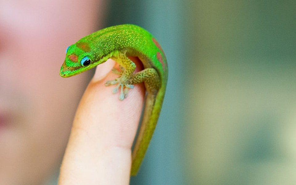 
        Zbiórka Na otwarcie własnego biznesu - zdjęcie główne
    