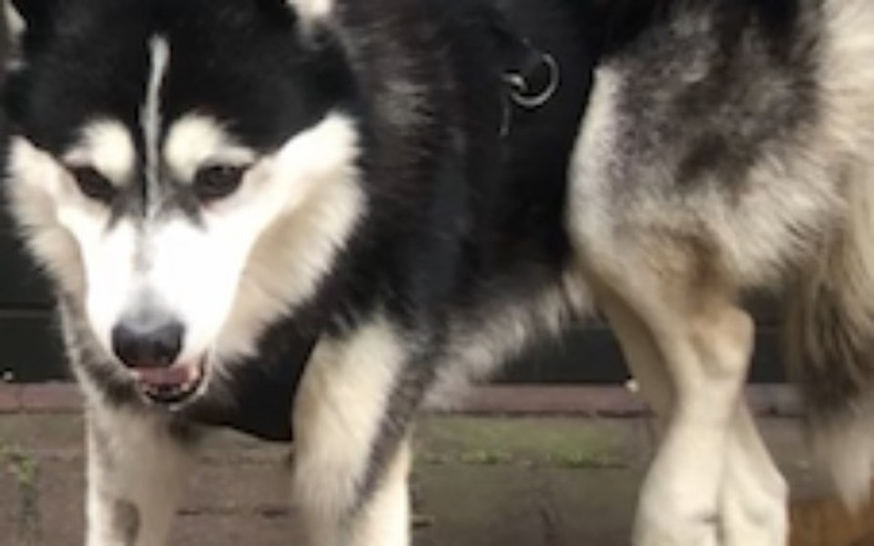 
        Zbiórka Wózek inwalidzki & rehabilitacja - zdjęcie główne
    