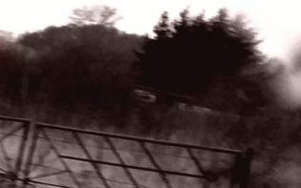 
        Zbiórka Działkę rekreacyjną - zdjęcie główne
    