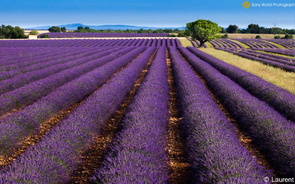 
        Zbiórka Dom  Mieszkanie - zdjęcie główne
    