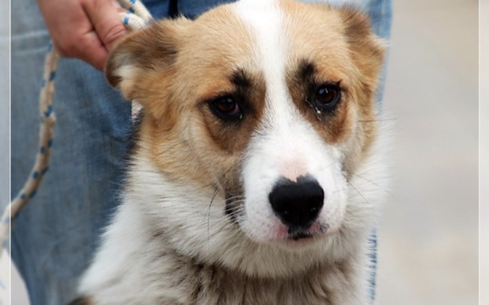 
        Zbiórka Frajda z Radys Prosi o Grosik - zdjęcie główne
    