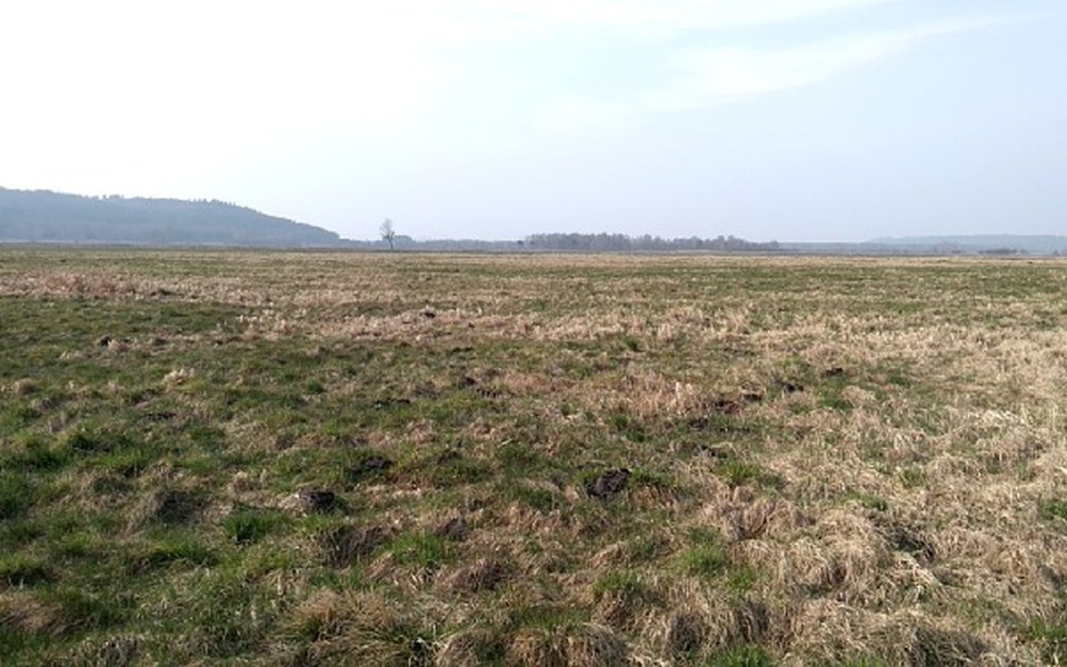 
        Zbiórka Budowa stajni - zdjęcie główne
    