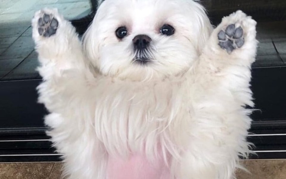 
        Zbiórka Zbiórka na małe marzenie - zdjęcie główne
    