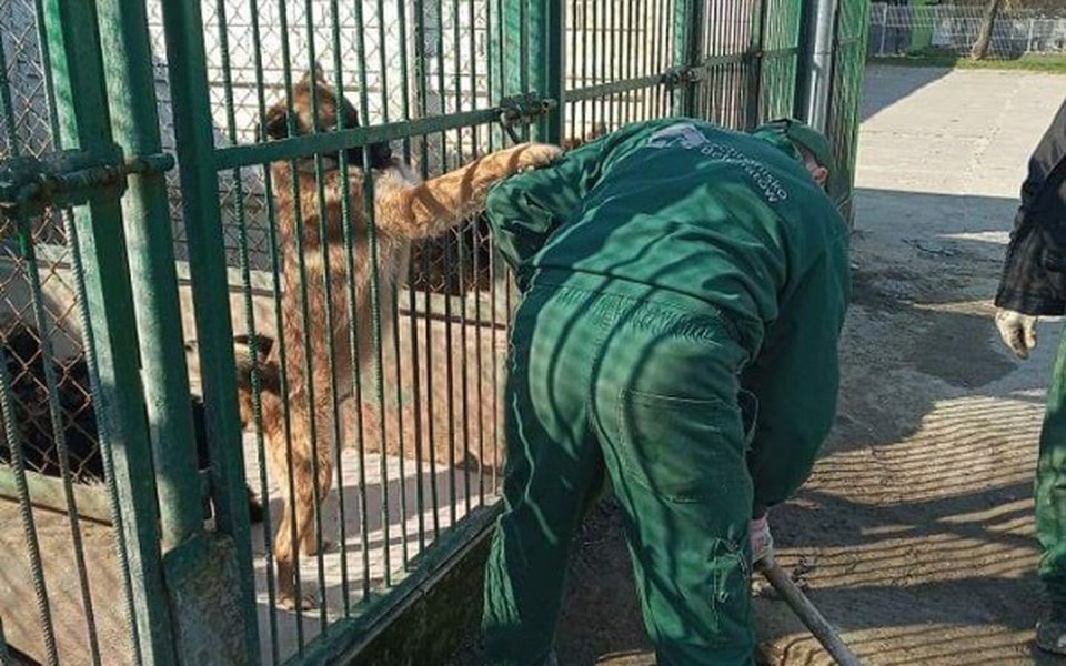 
        Zbiórka Zbieram dla schroniska123 - zdjęcie główne
    