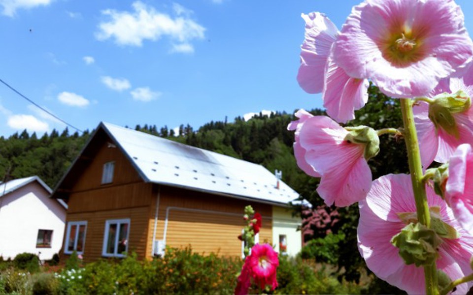 
        Zbiórka Operacja rozszczepu podniebienia - zdjęcie główne
    