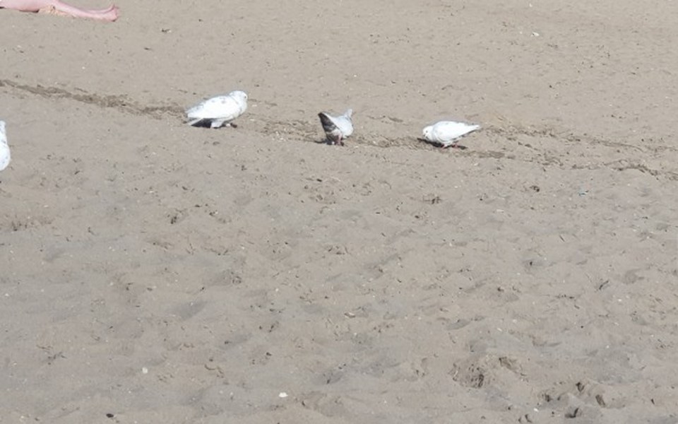 
        Zbiórka Zbieram na pracę i nowe życie w - zdjęcie główne
    