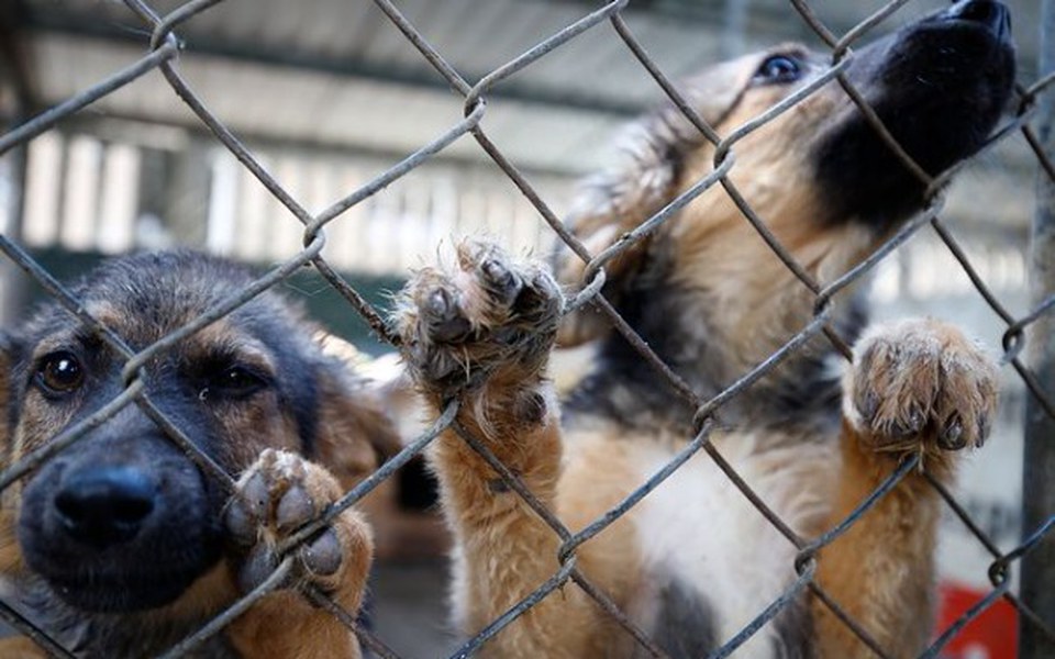 
        Zbiórka Bądź lepszy i pomusz już teraz - zdjęcie główne
    