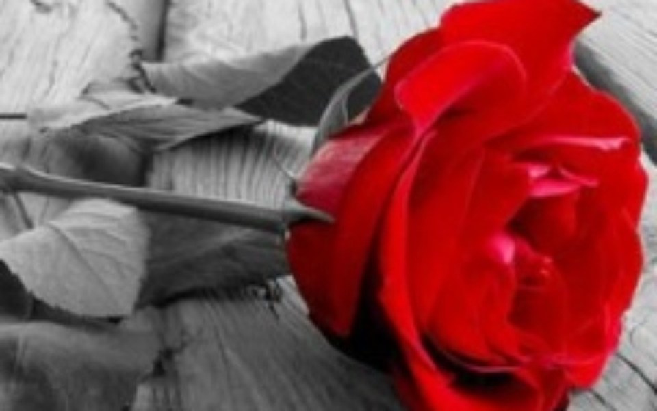 
        Zbiórka Pomóżcie mi w spłacie DŁUGU - zdjęcie główne
    