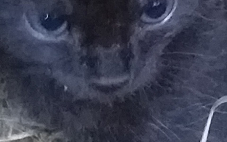 
        Zbiórka Nela marzy by biegać - zdjęcie główne
    