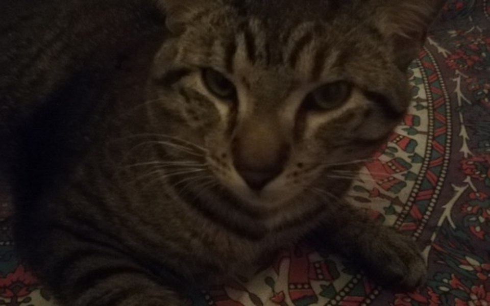 
        Zbiórka Pomoc dla Mańka - zdjęcie główne
    