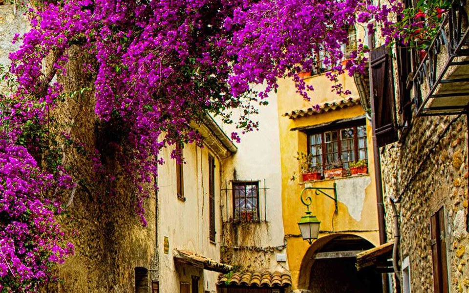 
        Zbiórka Spokojne życie. - zdjęcie główne
    