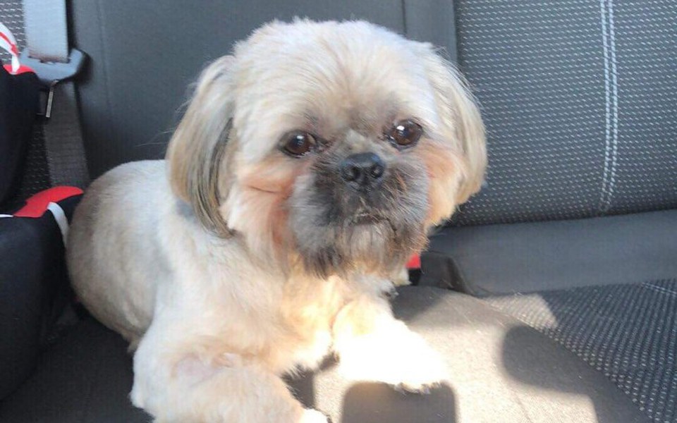 
        Zbiórka Operacja dla Tofika - zdjęcie główne
    