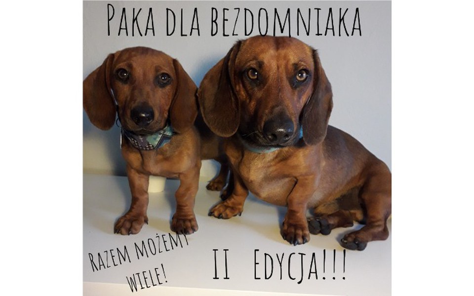 
        Zbiórka Paka dla Bezdomniaka II - zdjęcie główne
    