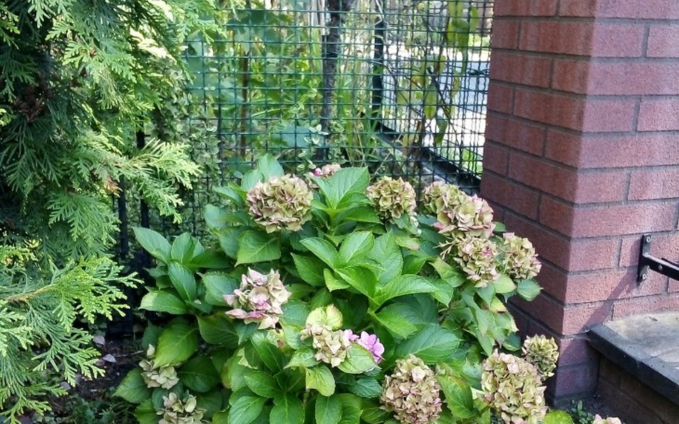 
        Zbiórka Pomocnik - zdjęcie główne
    