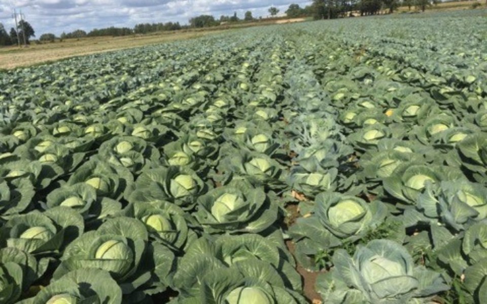 
        Zbiórka Postawmy Gospodarstwo Na Nogi - zdjęcie główne
    