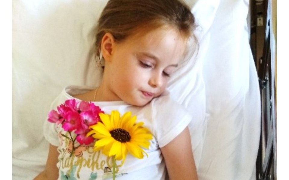 
        Zbiórka Leczenie zuzi waltz - zdjęcie główne
    