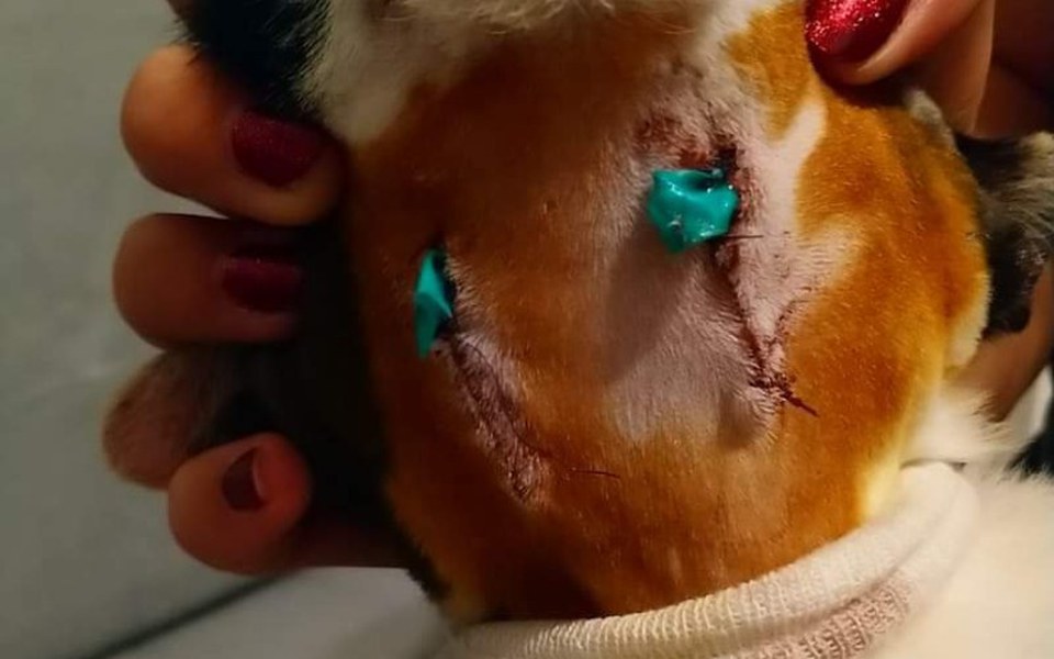 
        Zbiórka Pomóżcie nam spłacić dług - zdjęcie główne
    