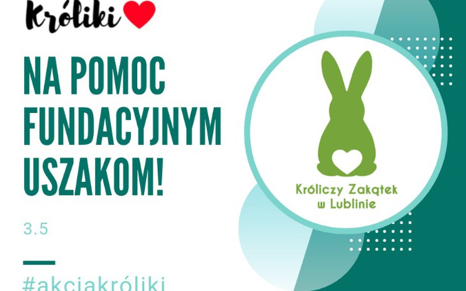 
        Zbiórka akcjakroliki3_5 - zdjęcie główne
    