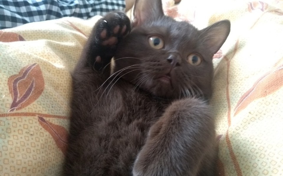 
        Zbiórka Pilnie potrzebuje kasy bardzo - zdjęcie główne
    