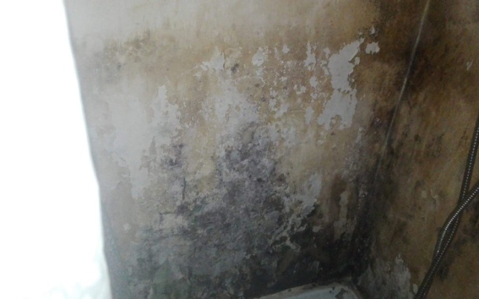 
        Zbiórka Na wyremontowanie mieszkania - zdjęcie główne
    