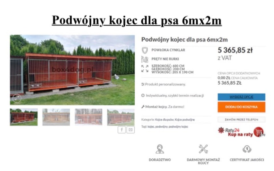 
        Zbiórka Moje urodzinowe marzenie - zdjęcie główne
    