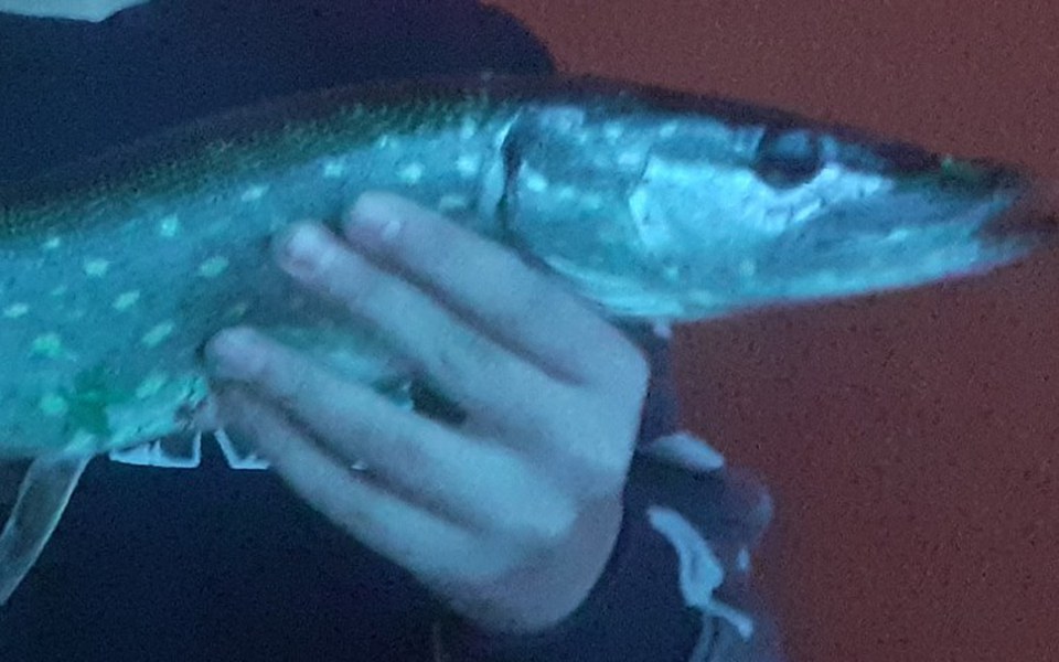 
        Zbiórka Rozwój w wędkarstwie - zdjęcie główne
    