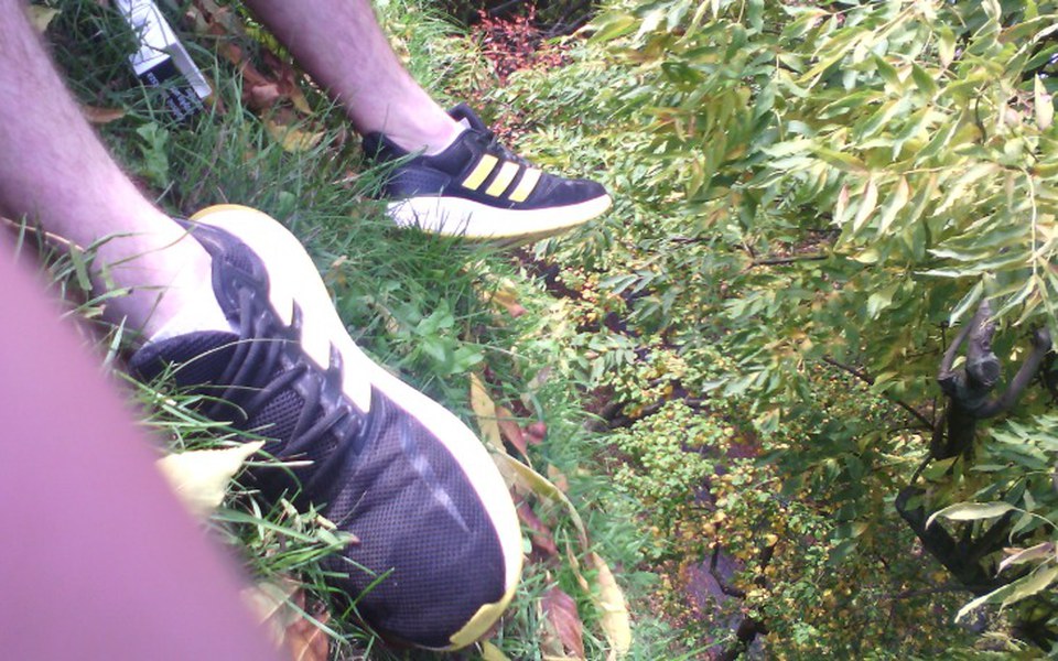 
        Zbiórka Cold. Help pls - zdjęcie główne
    