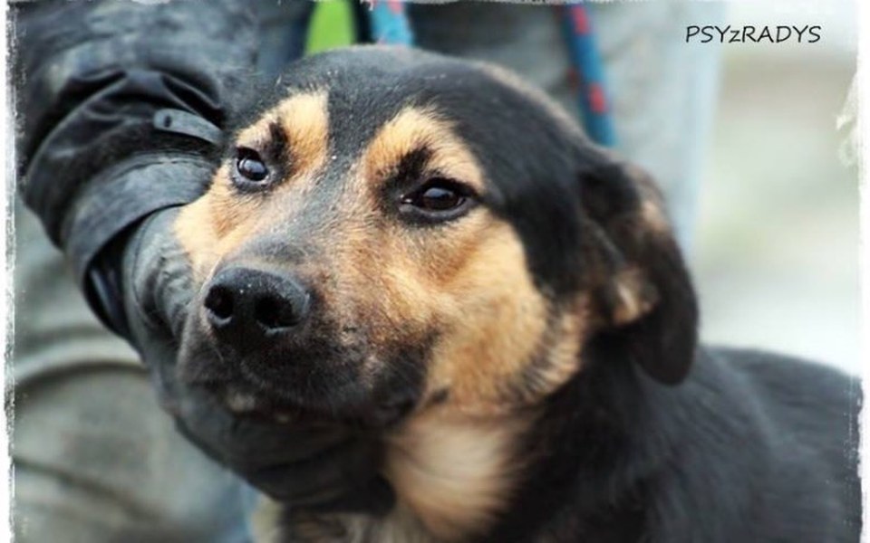 
        Zbiórka Stwórzmy im razem lepszy świat - zdjęcie główne
    