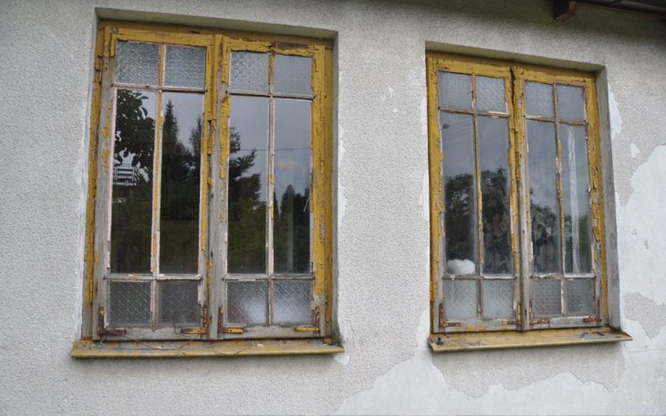 Zbiórka okna na zimę dla kociarni - zdjęcie główne