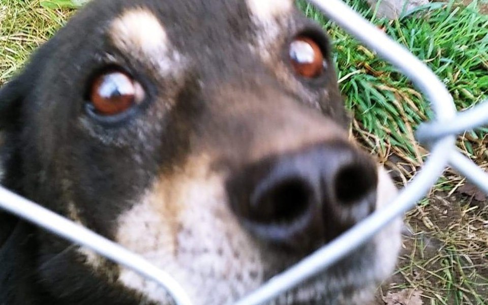 
        Zbiórka Przerażone proszą o pomoc - zdjęcie główne
    