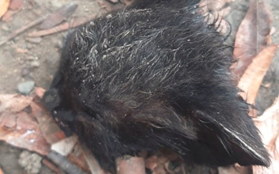 
        Zbiórka Więcej niz tysiąc słów... - zdjęcie główne
    