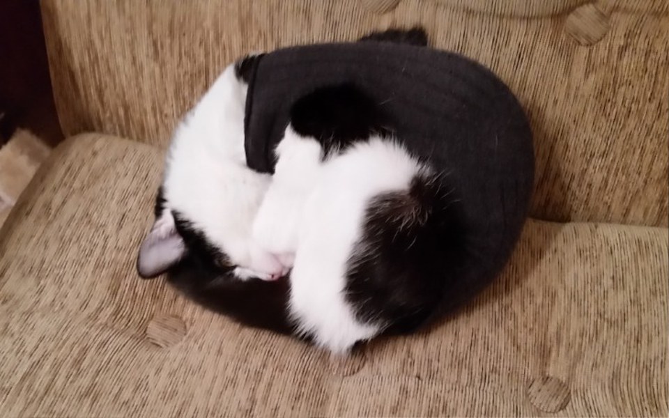 
        Zbiórka Idzie zima. - zdjęcie główne
    