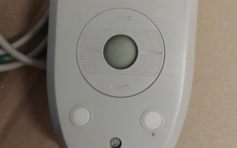 
        Zbiórka Myszka dla Speeda - zdjęcie główne
    