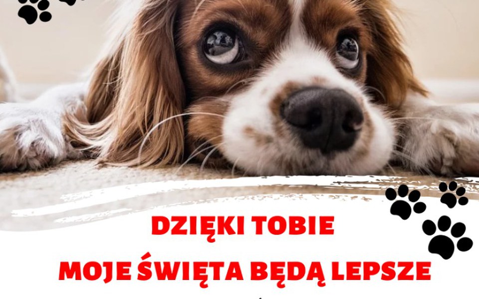 Zbiórka Pomóżmy im przetrwać zimę. - zdjęcie główne