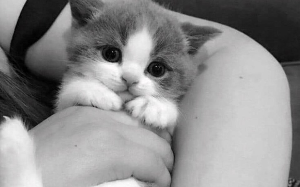 
        Zbiórka Zbieram na studia mojej córki - zdjęcie główne
    