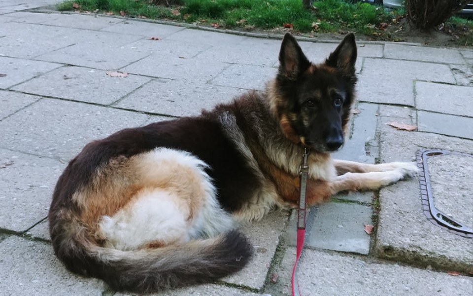 
        Zbiórka Serduszko Ajry - zdjęcie główne
    